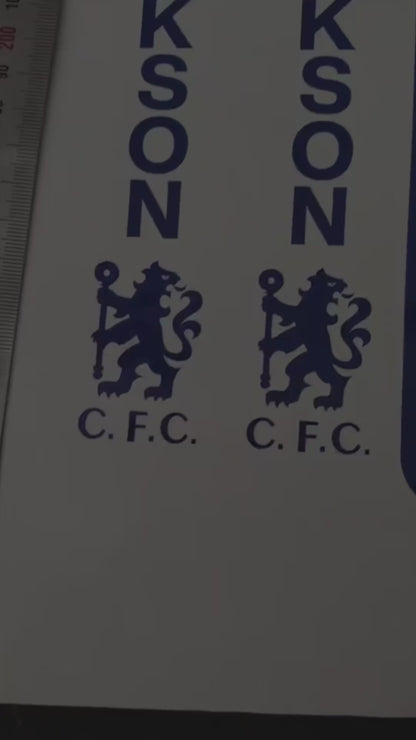 Custom Vinyl Sticker Decal x2 - Small